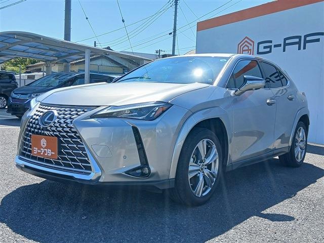 Lexus UX 10