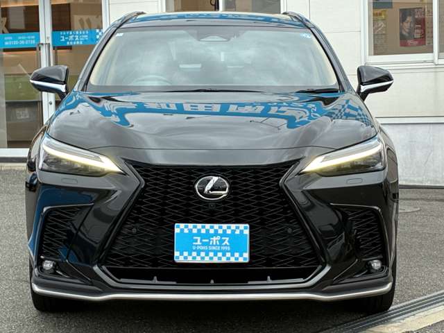 Lexus NX 11