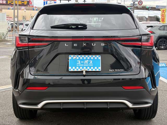 Lexus NX 12