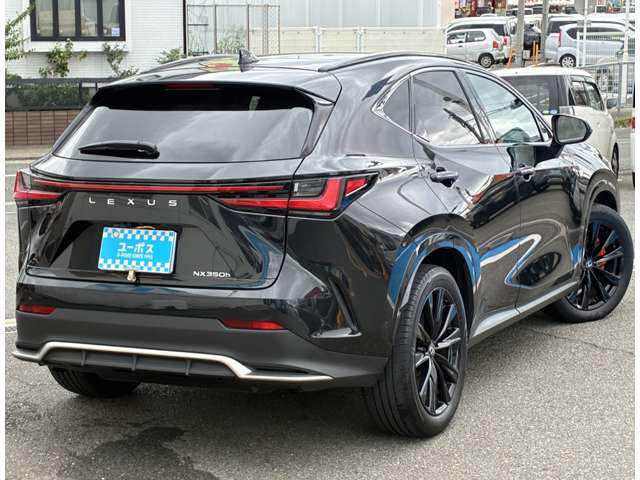 Lexus NX 6