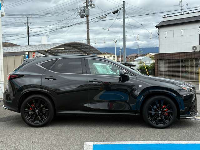 Lexus NX 7