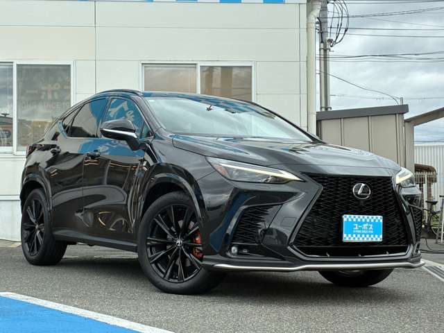 Lexus NX 8
