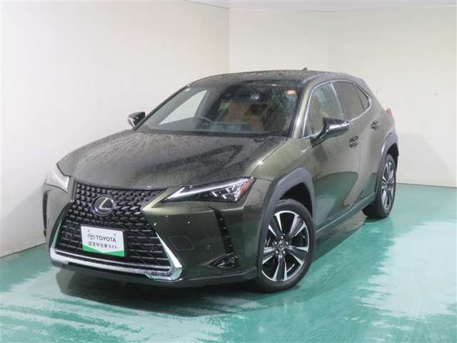 Lexus UX 12