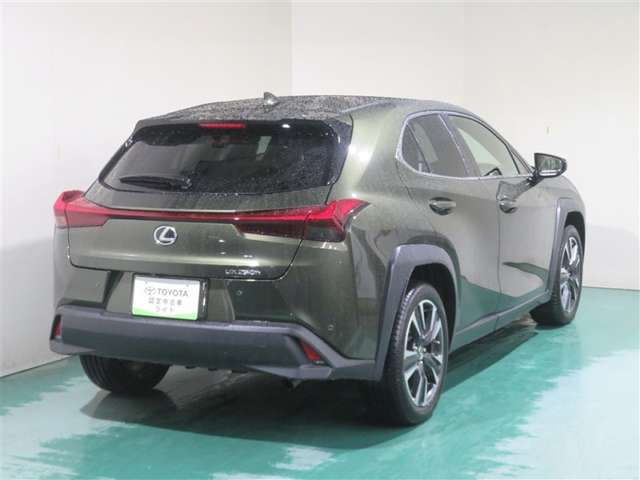 Lexus UX 8