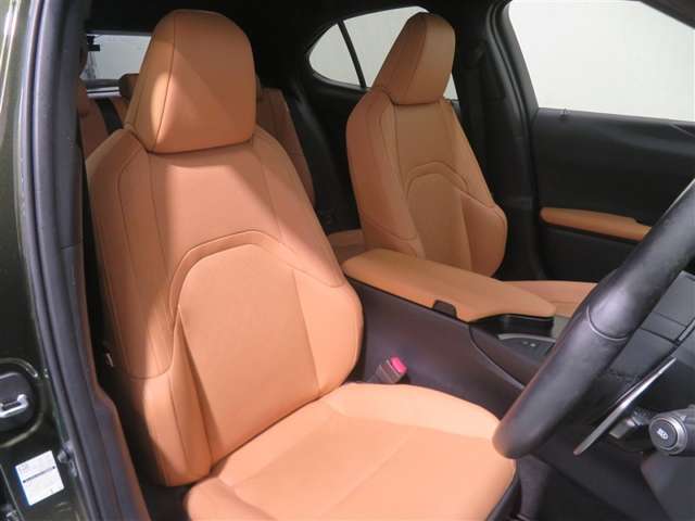 Lexus UX 10