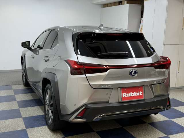 Lexus UX 8