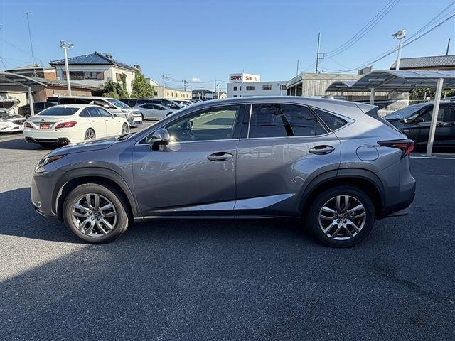Lexus NX 11