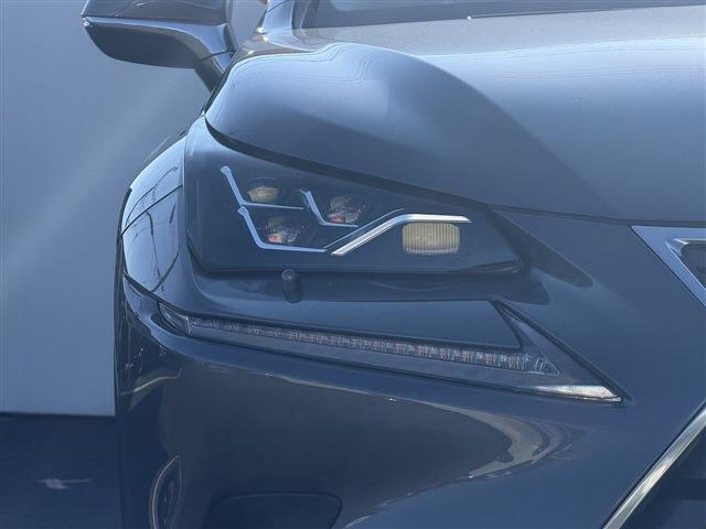 Lexus NX 12