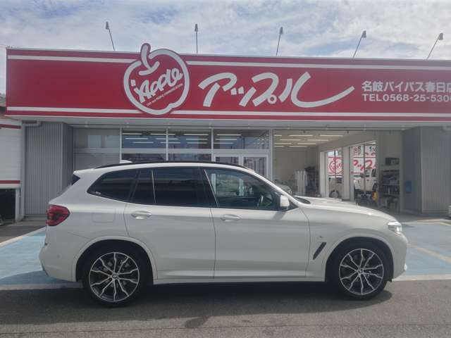 BMW X3 8