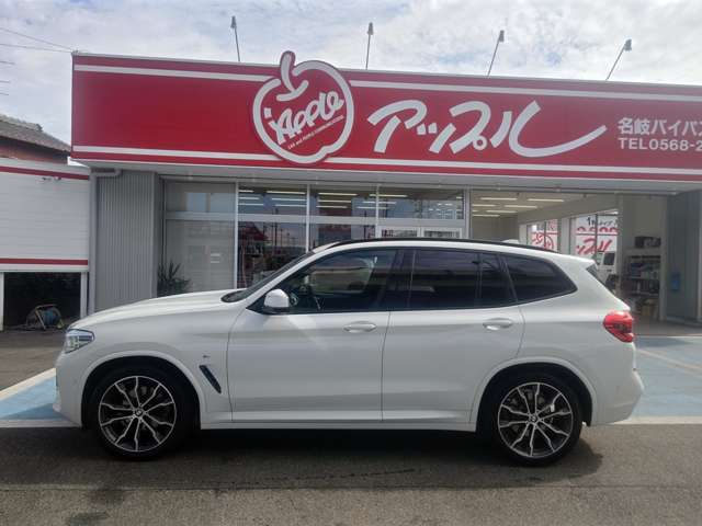 BMW X3 9
