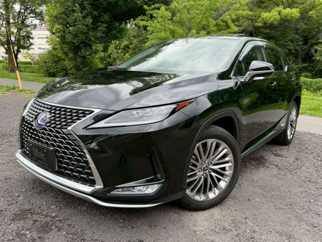 Lexus RX 11
