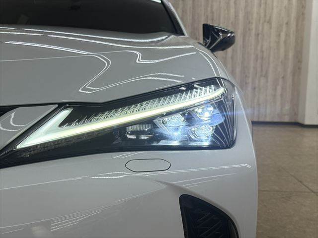 Lexus UX 12