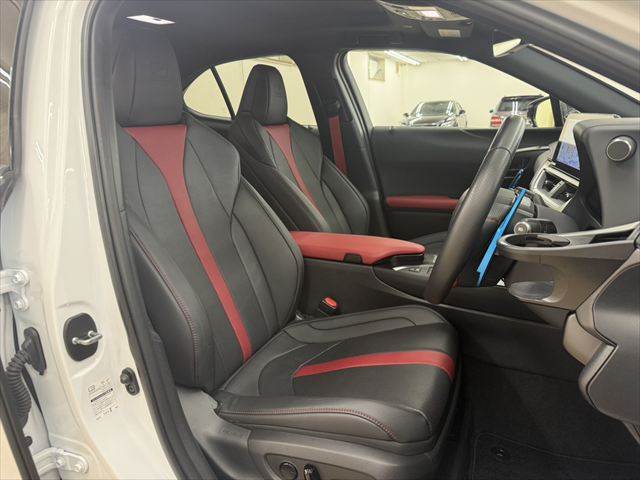 Lexus UX 8