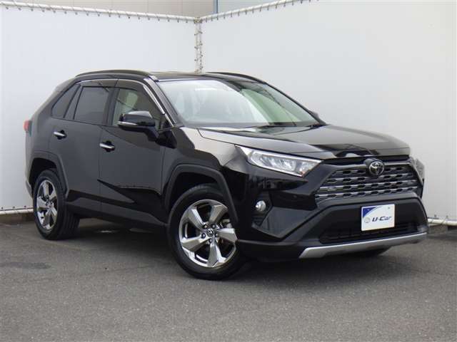 Toyota RAV4 8