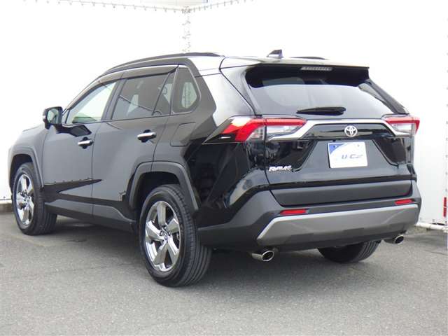 Toyota RAV4 10