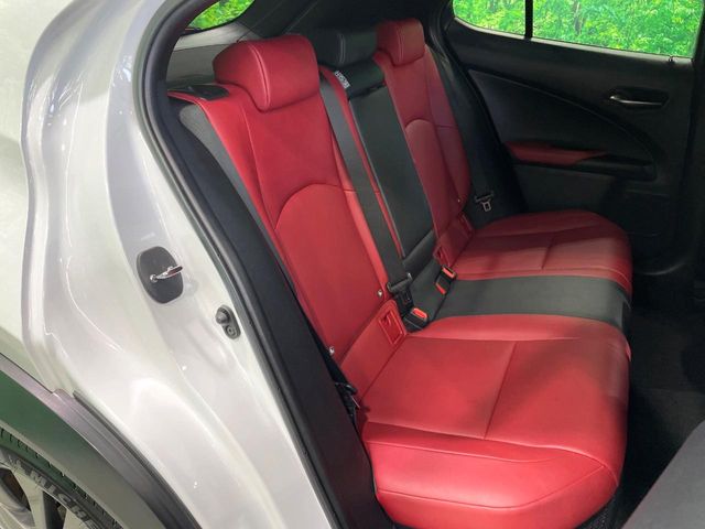 Lexus UX 11