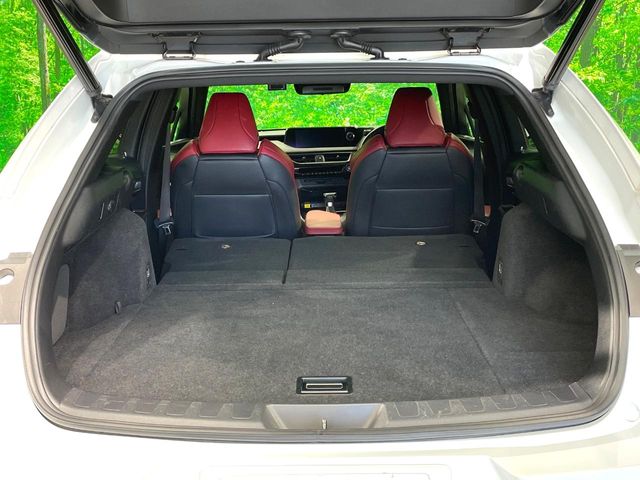 Lexus UX 12