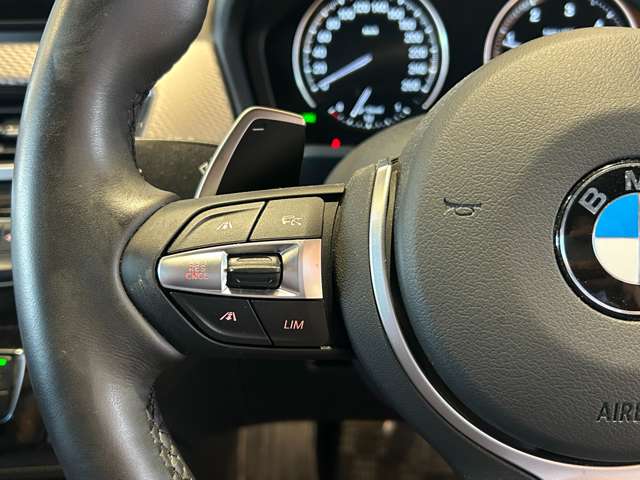 BMW X2 10