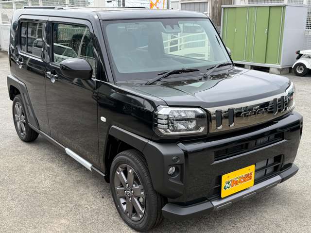 Daihatsu Taft 8