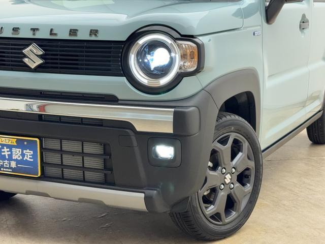 Suzuki Hustler 6