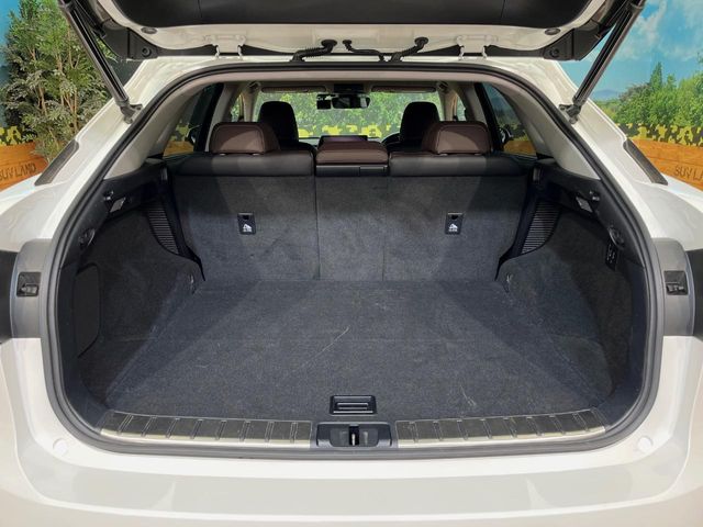 Lexus RX 11