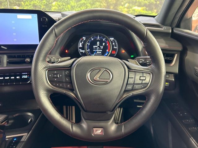 Lexus UX 11