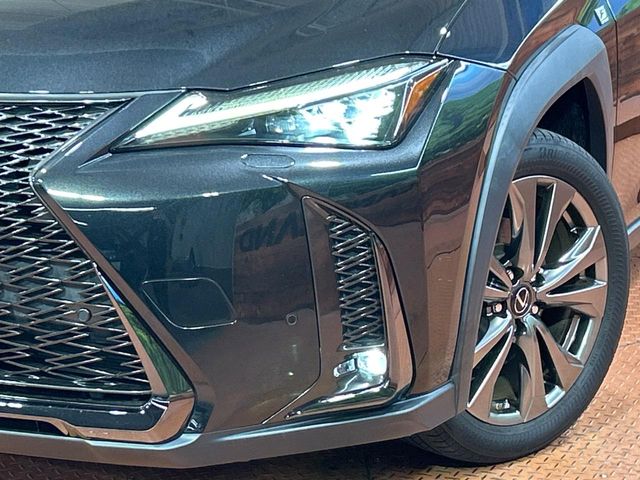 Lexus UX 12