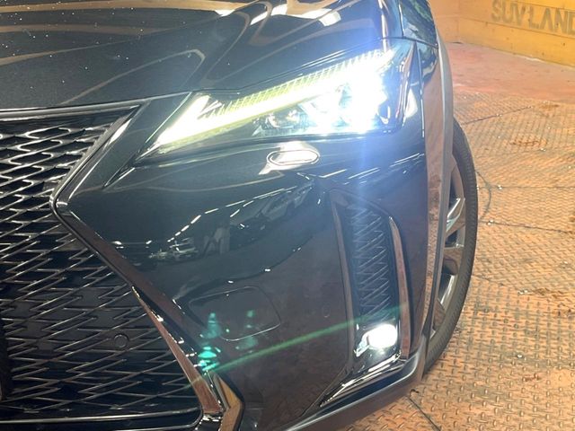 Lexus UX 12