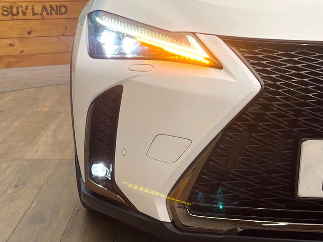 Lexus UX 12