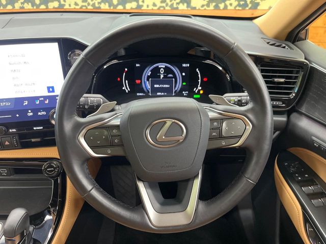 Lexus NX 11
