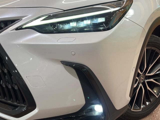 Lexus NX 12