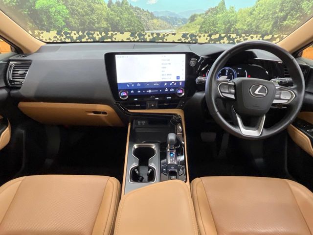 Lexus NX 2