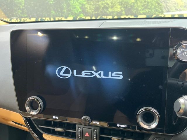 Lexus NX 4