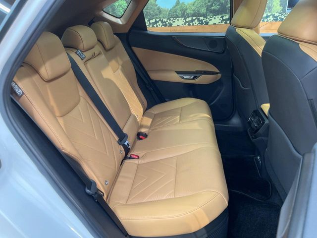 Lexus NX 9