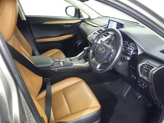 Lexus NX 11