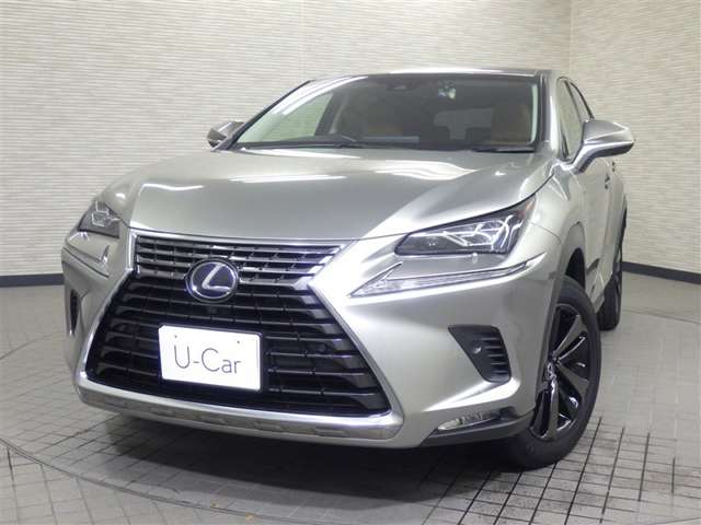 Lexus NX 6