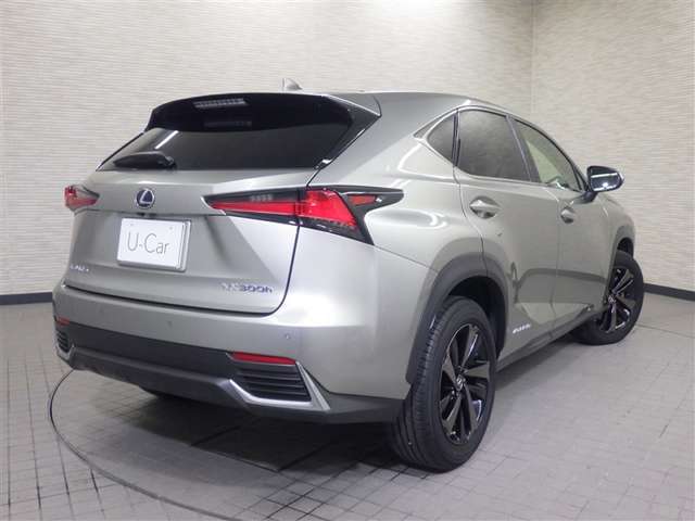 Lexus NX 8