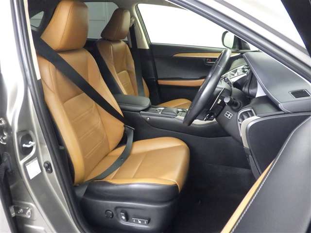 Lexus NX 10