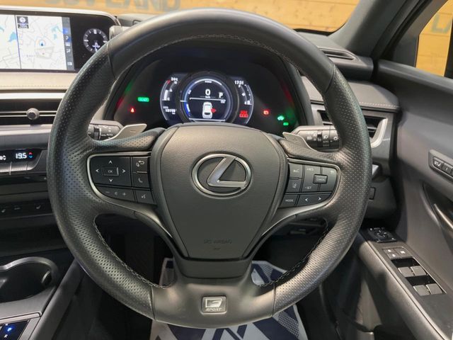 Lexus UX 11