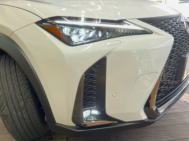 Lexus UX 12