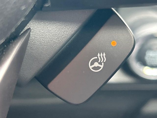 Subaru Crosstrek 9