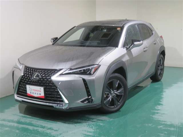 Lexus UX 12