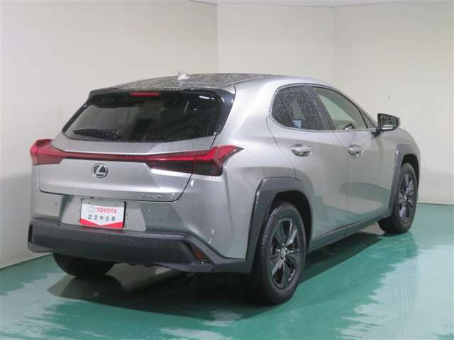 Lexus UX 8