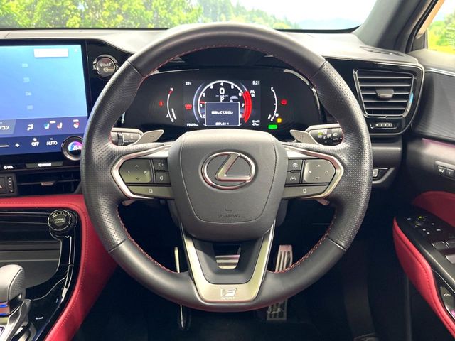 Lexus NX 11