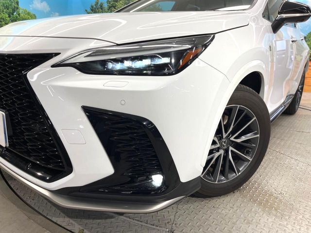 Lexus NX 12