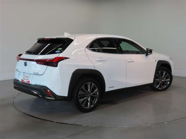 Lexus UX 6