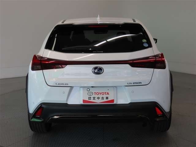 Lexus UX 8