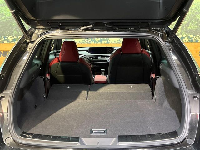 Lexus UX 10