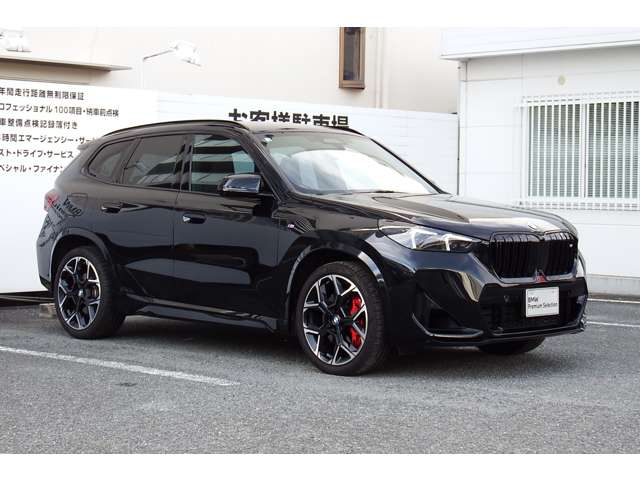 BMW X1 9
