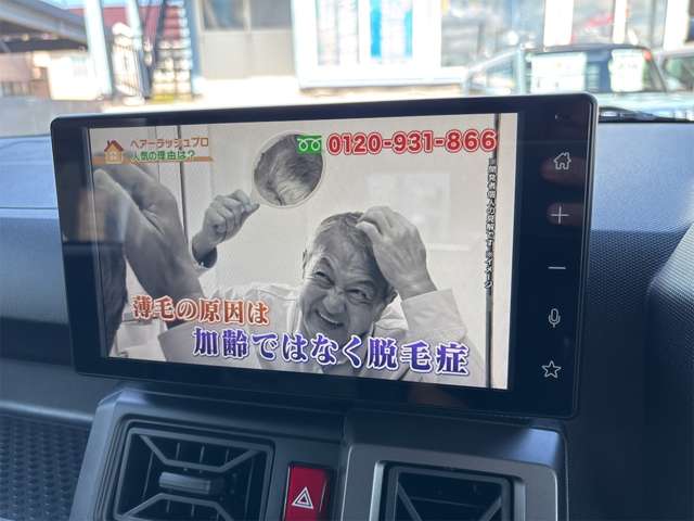 Daihatsu Taft 12